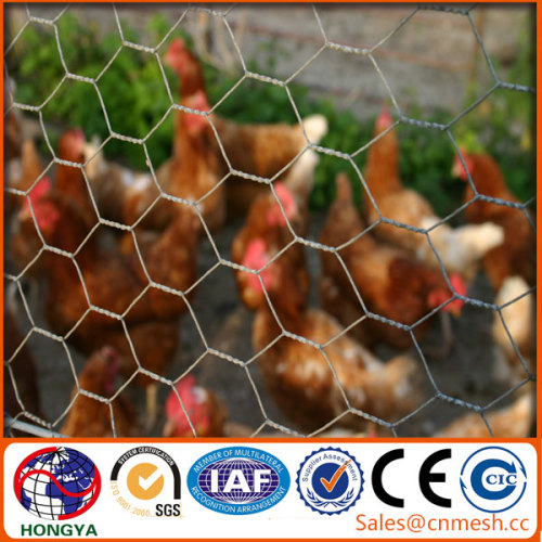 Hexagonal Chicken Wire Mesh / Lowes Chicken Wire Mesh / Chicken Coop