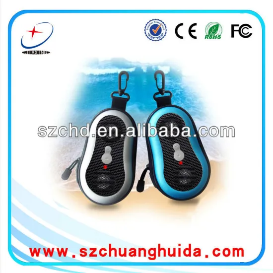 2013 New design lageniform appearance mini speakers bag with volume