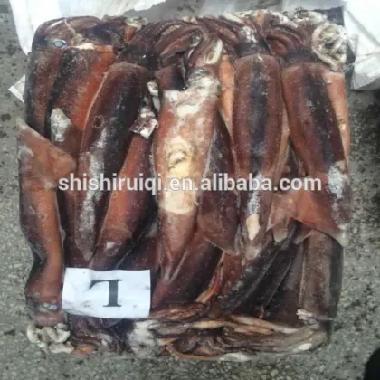 200-300G calamar argentina calamari squid