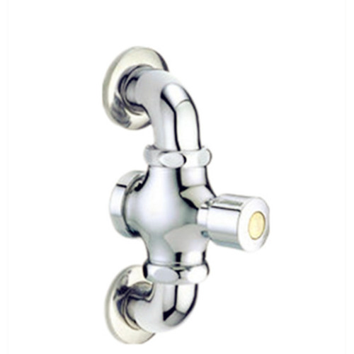 Dual Wall Mounted Self Closing Flush Valves