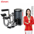 Professional Gym Exercise Equipment Back Extension