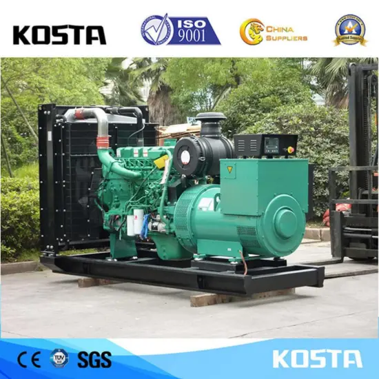 Excellent Power Output 325KVA Cummins Generator Price