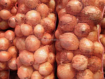 round onion fresh onions gansu onion