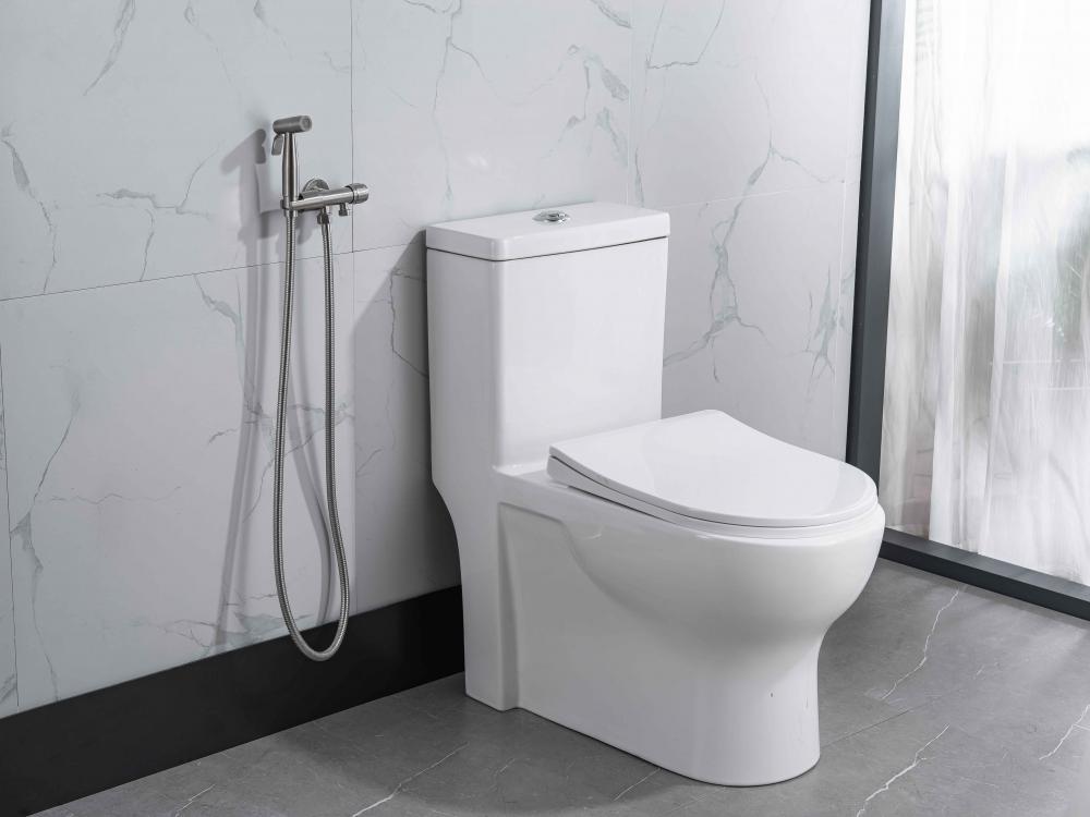 Badezimmer Eingriff Toiletten Bidet Sprayer Set Kit