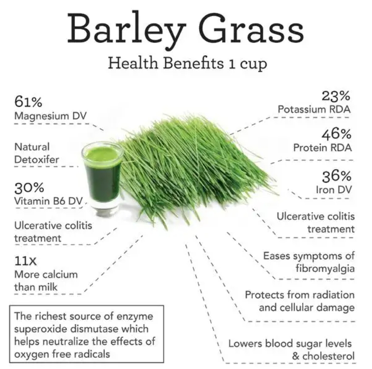 grass barley grass juice natural barley powder
