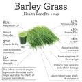 Succo di erba di orzo verde di grano verde alimentare in polvere