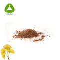 Ginkgo Biloba Leaf Extract 24% 플라본 6% 락톤