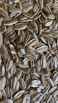 sunflower seeds