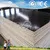 Building Formwork/Marine Plywood/Film Faced Plywood