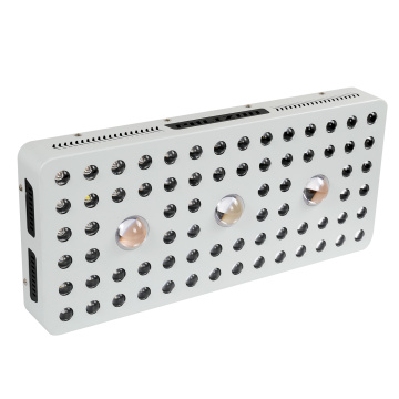 Best COB LED Grow Light for Grow Room