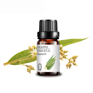 cosmetic grade whitening pure eucalyptus essential oil