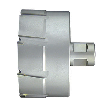 Cutting Tool from TCT, with Weldon Shank/Version P, for Clamping Strength and Finish