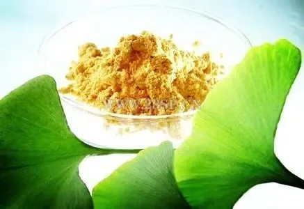 Ginkgo Exract (6)