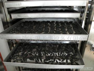 Drying Equipment For Peanut