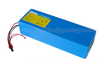 48V 1000W Electric Bike Battery