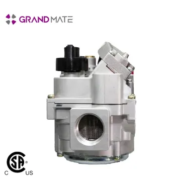 detector with lpg solenoid valve gas