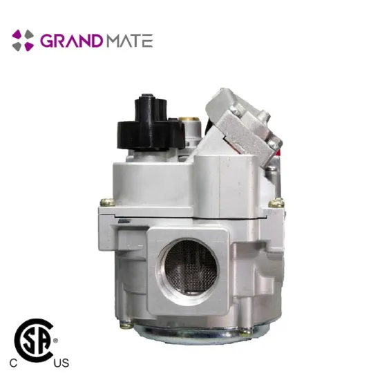 detector with lpg solenoid valve gas