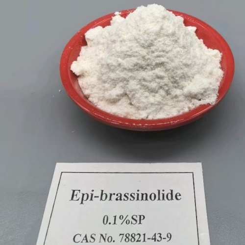 Epi-Brassinolide 90%TC يعزز إنتاجية المحاصيل في جنوب أفريقيا