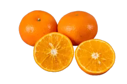 Orah Mandarin Citrus Fresh Fruit