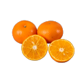 میوه تازه مرکبات ماندارین اورا
