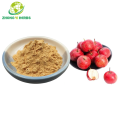 Hawthorn Juice Powder