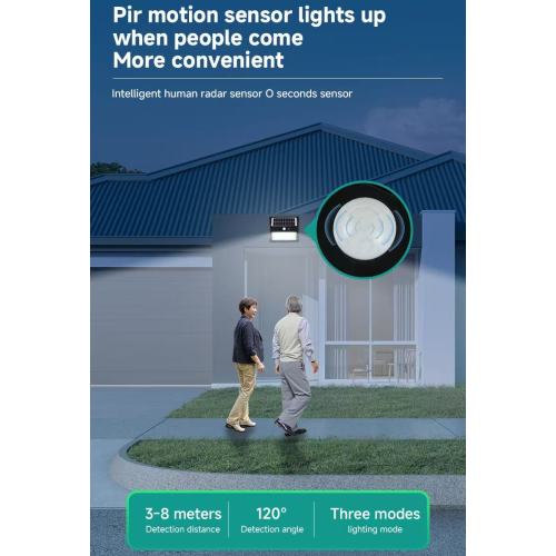 80W Ultra-Dino LED Wall Donce