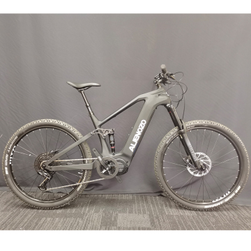 Carbon Fibre Frame E-bike with Hidden Battery and M620 Hydraulic Disc Brake
