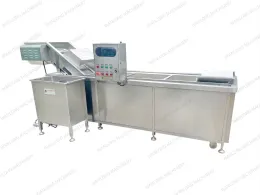 High-Efficiency Industrial Fruit and Vegetable Bubble Washer