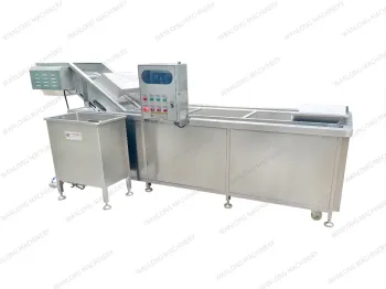 High-Efficiency Industrial Fruit and Vegetable Bubble Washer