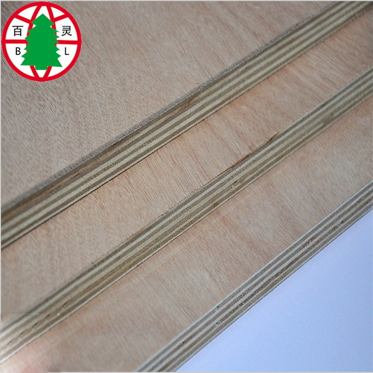 Eucalyptus Plywood06