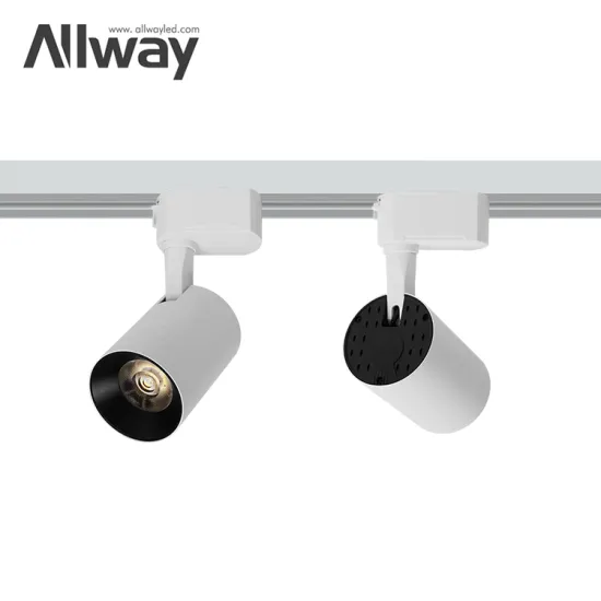 ALLWAY LED Track Lighting: Adjustable 10W, 20W, and 30W Spot Lights for Office and Room Decor