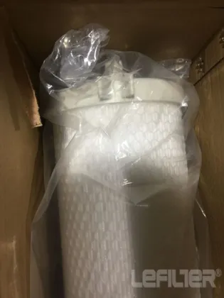 Pentair water filter cartridge ALN01-60B