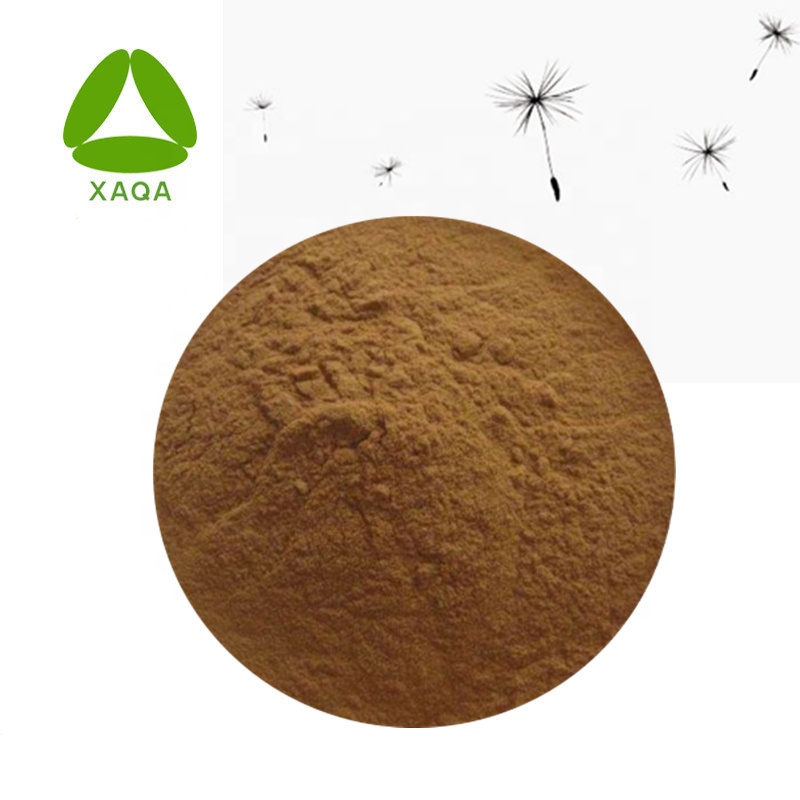 Taraxacum الجذر استخراج مسحوق الهندباء فلافونويدس