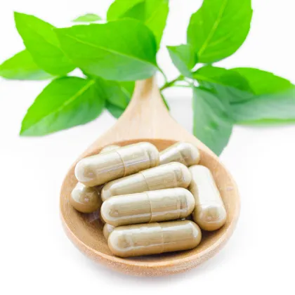 Bulk ginseng root extract