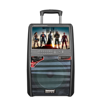 15 inch Screen Hot Selling 12 inch Base Plastic Trolley Loudspeakers with Bluetooth