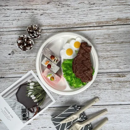 Biodegradable compartment plates disposable bagasse plates