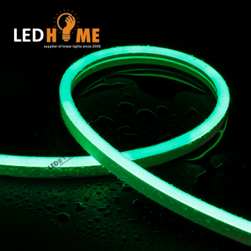 Digital RGB Neon Flex NE0817F - 12V/24V Pixel LED Strip