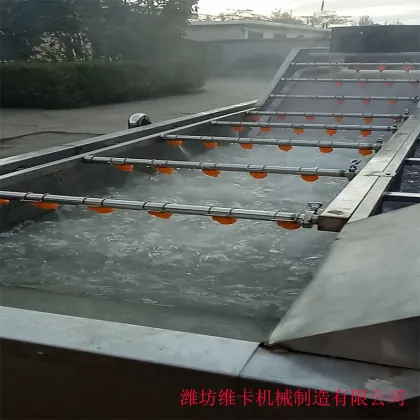 Dry and Wash Fruits and Vegetables Line: Dragon Fruit/Pitaya Washing Machine