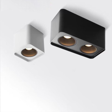 Lámparas dobles comerciales Downlight 12W