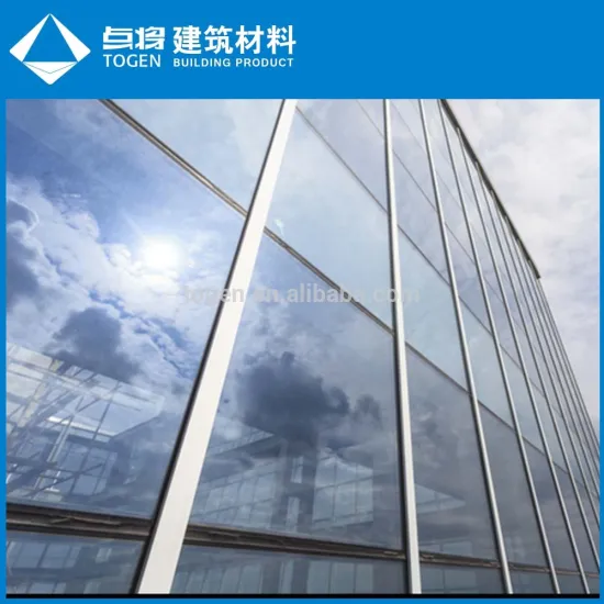 DGU Curtain Wall Glass
