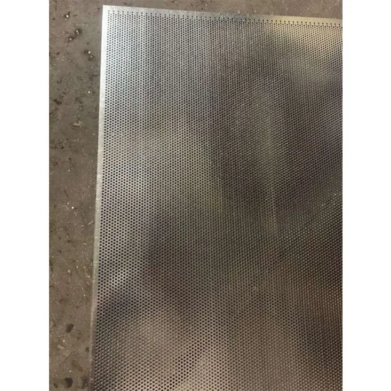 Stainless Steel Round Hole Perforated Metal Mesh for Speakers