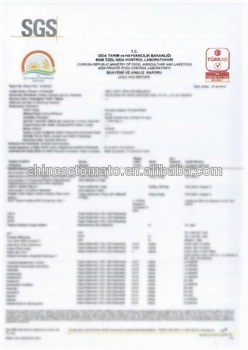2200g 3000g 5kg Canned tomato paste with high quality