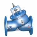 Multi function valve water valve