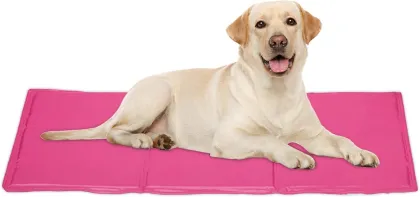 Cooling ice mat for dog