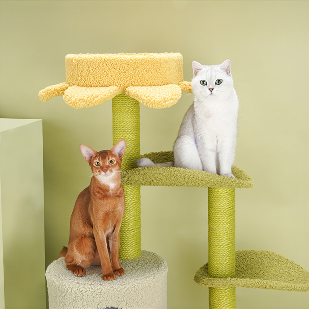 Cat Climbing Toy