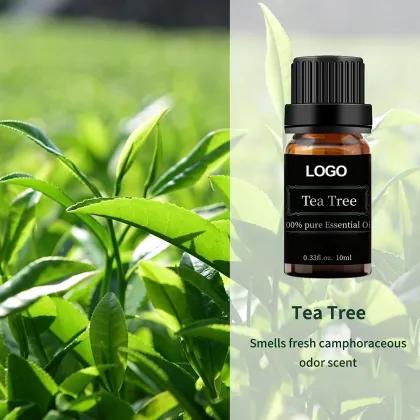 100 Pure Natural Tea Tree oil for Aromatherapy Non GMO Verified 10ml