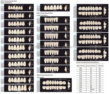 Two layers resin teeth Partial Denture