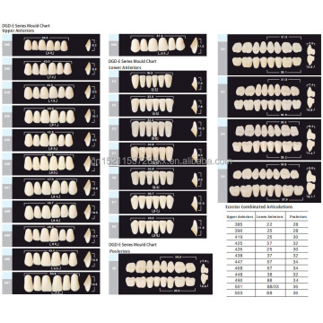 Dientes de resina de dos capas dentaduras parciales