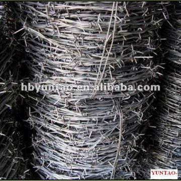 PROMOTION 2.0mm 50kg roll Galvanized Barbed Iron Wire