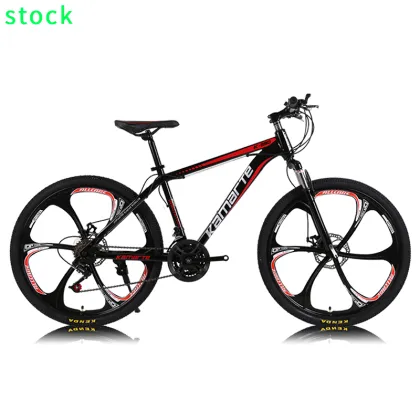 Custom Wheel Set and Carbon Frame for Adult MountainPeak Stricker/Road Bike